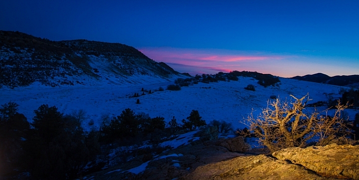 Scrubby pines grow from the rocks of the Dakota Hogback in the foothills of Colorado outside Denver, late evening.