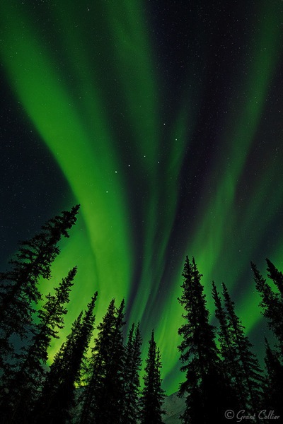 Grant Collier Northern Lights 3