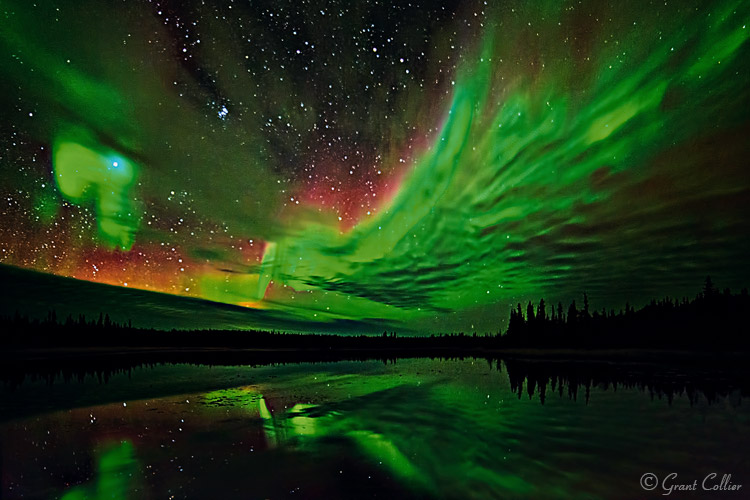 Grant Collier Northern Lights 4