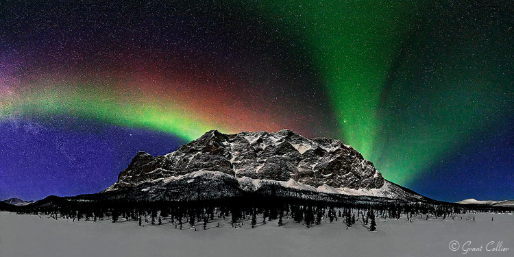 Grant Collier Northern Lights 8