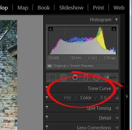 Lightroom interface quiz - image for question 4