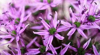 New-Camera-Tips-2