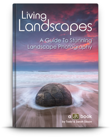 living_landscapes3-363x448