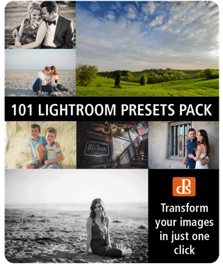 http://digital-photography-school.com/wp-content/uploads/2015/12/presets_cover.png