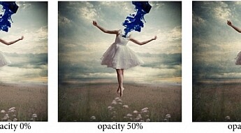 05-opacity.jpg