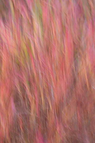 AK-FAI-autumn-blur-abstract-11