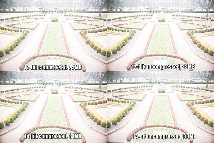 raw-formats-compared-garden-overexposure-compared