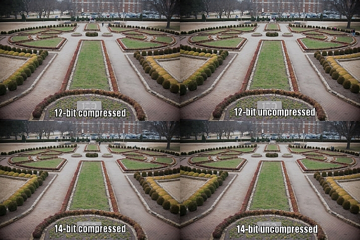 raw-formats-compared-garden-overexpoure-fixed-compared