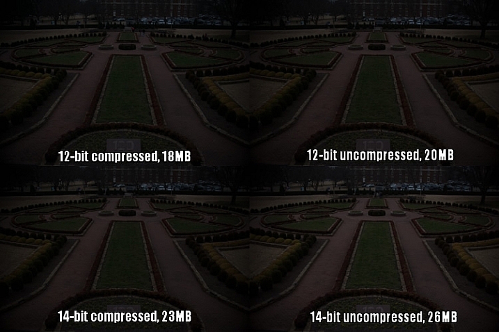 raw-formats-compared-garden-underexposure-compared
