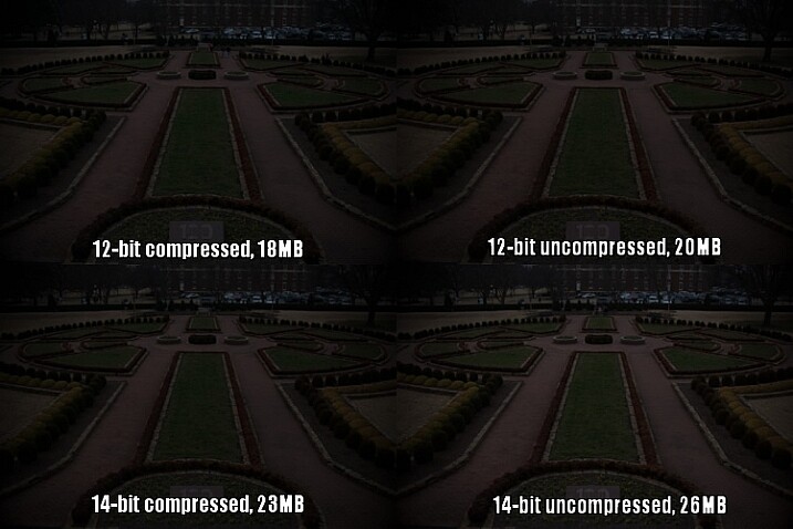 raw-formats-compared-garden-underexposure-compared