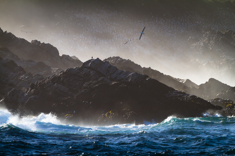 I spent 20 minutes hand holding a big lens to make this image, as I waited for an albatross to turn in profile over the waves.