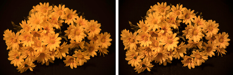 Image on right is a single image capture at 85mm focal length. Image on right is a 12 image focus stacked image. Each image had a DOF of less than one inch.