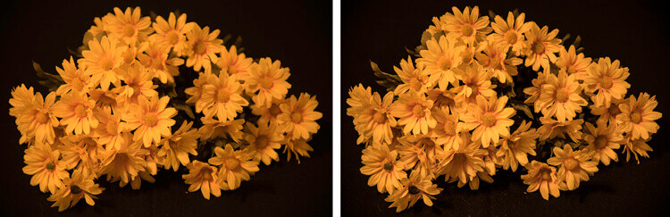 Image on right is a single image capture at 85mm focal length. Image on right is a 12 image focus stacked image. Each image had a DOF of less than one inch.