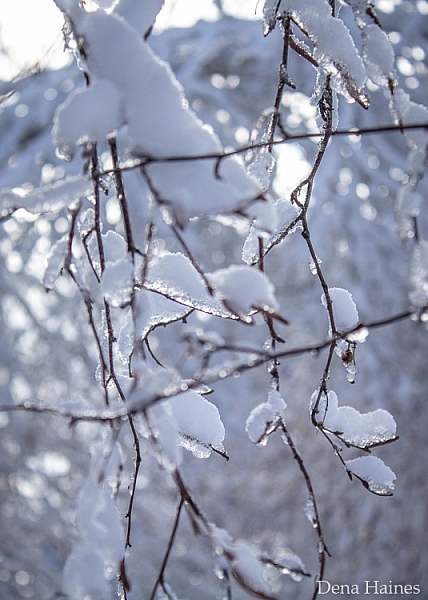 snow photography tips for beginners 2