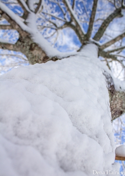 tips for photographing snow