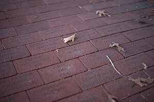 50mm, f/1.8, 1/125 second, ISO 100