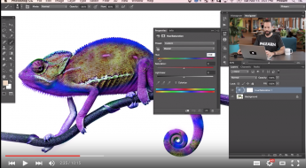 Screen Shot 2016-02-20 at 2.47.47 PM