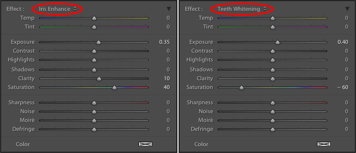 These presets don't inherently do anything special, they just adjust various sliders in different ways.