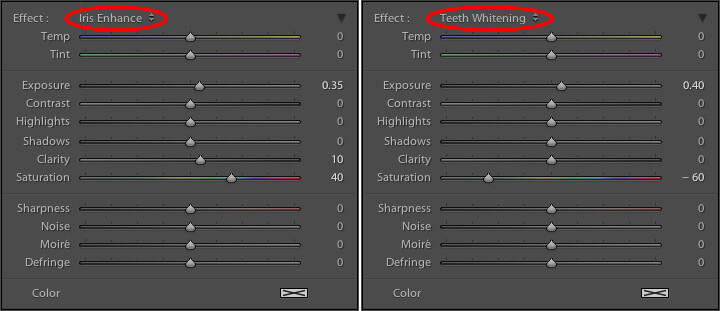 These presets don't inherently do anything special, they just adjust various sliders in different ways.