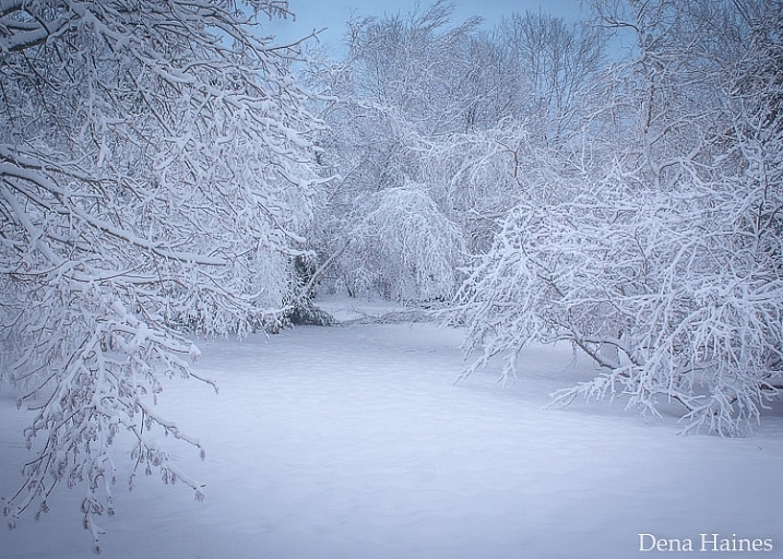 snow photography tips a beginners guide
