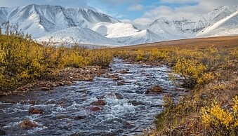AK-ANWR-Katakturuk-Canning-Packraft-1085-556