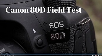 Canon 80D Field Test