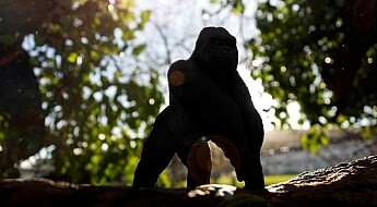 Gorilla-with-lens-flare-and-dust-particles