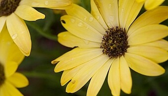 fill-card-reflector-top-and-bottom