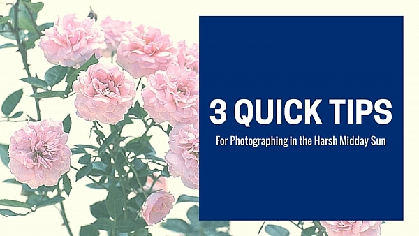 3 Quick Tips for Photographing in Harsh Midday Sun(1)