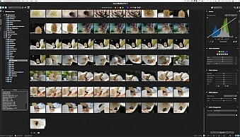 The user interface is instantly familiar to anyone who has used Lightroom or other image editing programs.