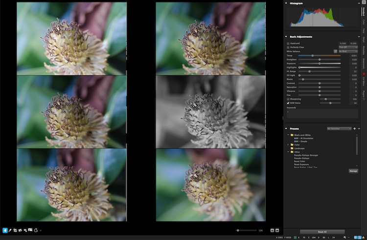 You can view up to six images at once and apply edits to individual photos while in multi-image view.