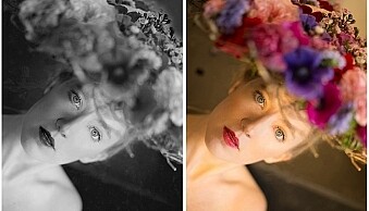 color-and-bw-image.jpg