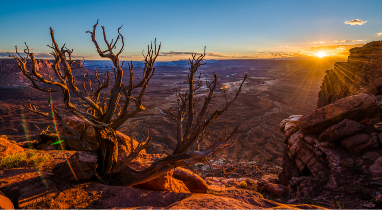 View of Canyonlands National Park at sunset