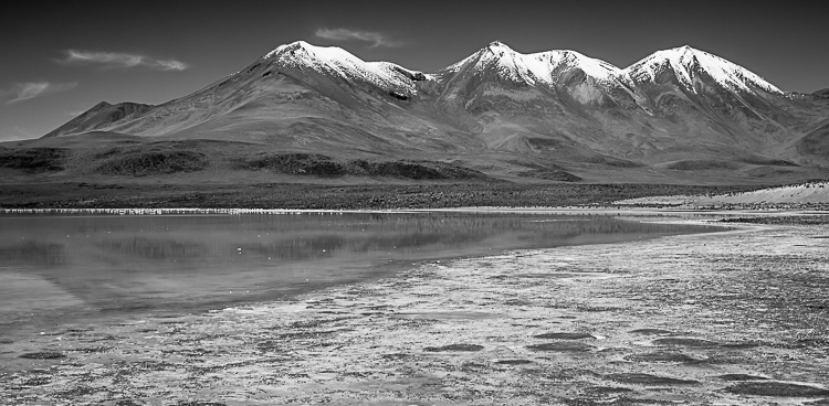 Bolivia-Altiplano-Feb2008-554