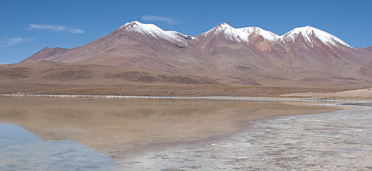Bolivia-Altiplano-Feb2008-555