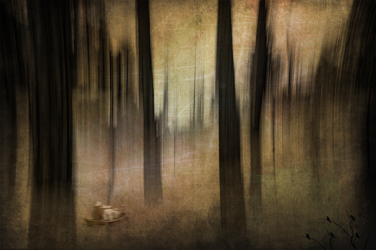 ICM_forest_creative_edit