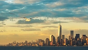 Images_Personal_Artistic_Style_in_Lightroom_07.jpg