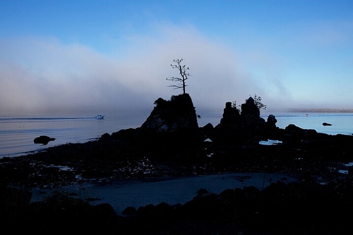 I was fascinated by this lone tree growing out of a huge rock near Garlibaldi, Oregon but I wanted to get it with a beautiful sky.