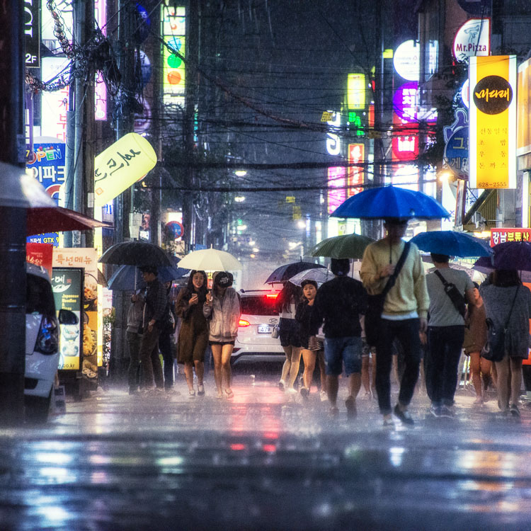 Umbrellas in Busan Rain