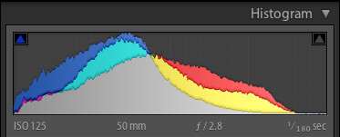 Histogram of original unedited image.