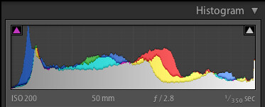 Original image histogram.