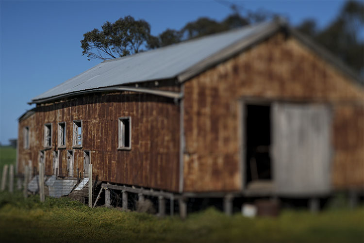 leannecole-lensbaby-old-shearing-shed