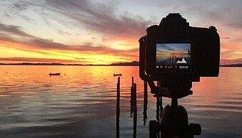 IMG_0439