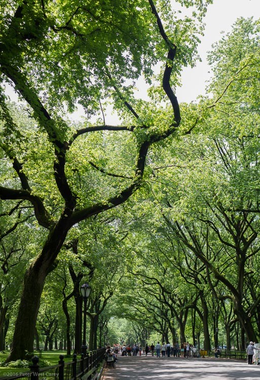 How to Shoot Vertical Panoramas (Vertoramas) | Photo-natural.com