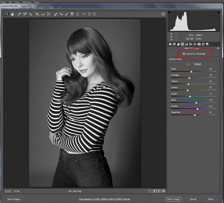 black-and-white-conversions-in-photoshop-ACR-mono