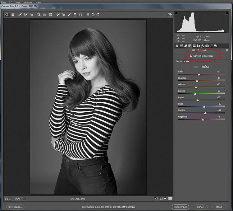 black-and-white-conversions-in-photoshop-ACR-mono