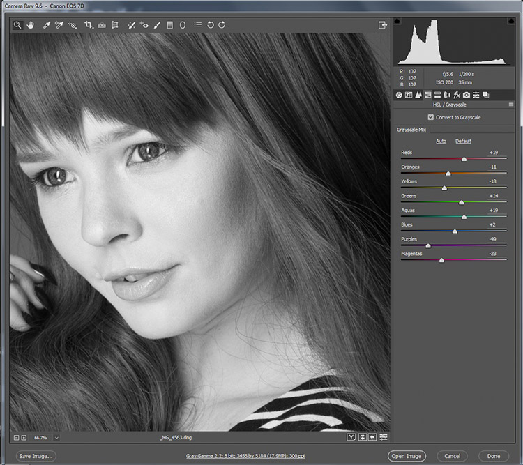 black-and-white-conversions-in-photoshop-ACR-zoom