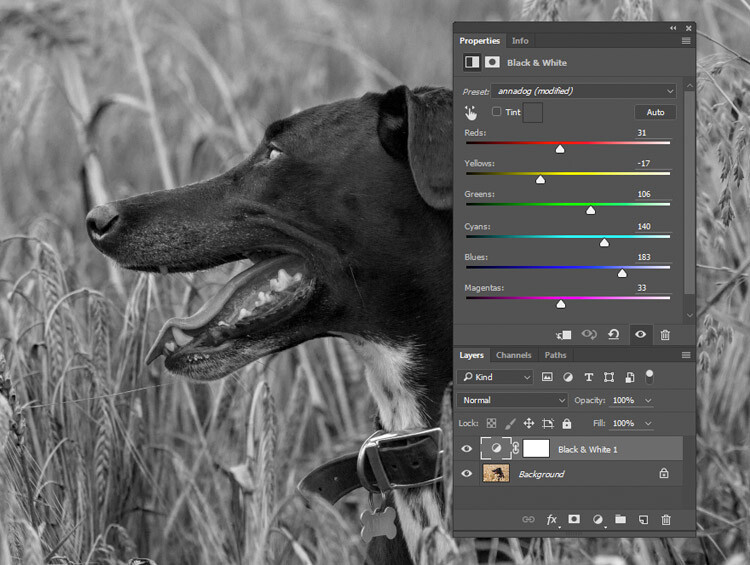 black-and-white-conversions-in-photoshop-blackandwhitelayer-sliders