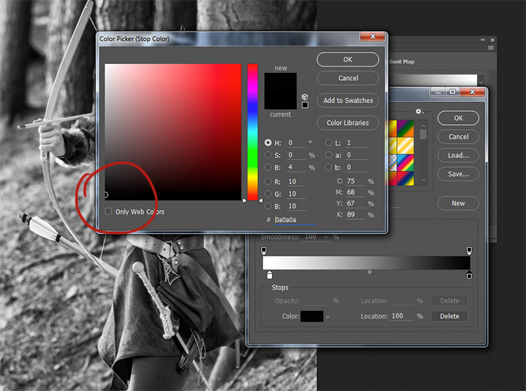 black-and-white-conversions-in-photoshop-gradientmap-blacktones