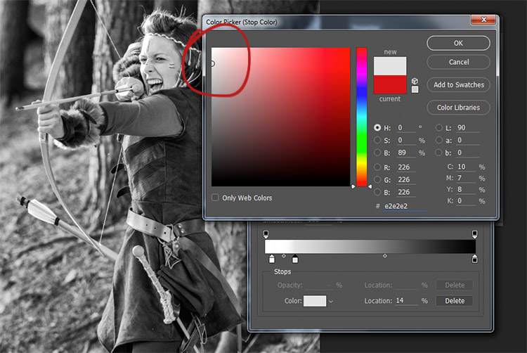 black-and-white-conversions-in-photoshop-gradientmap-newwhitetones